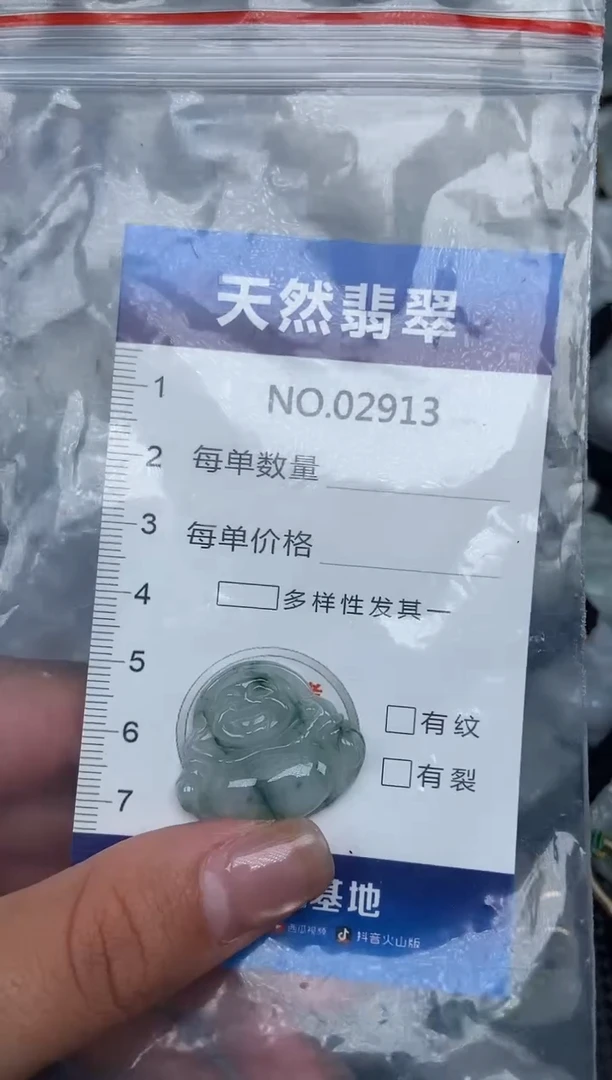 颈饰未镶嵌翡翠纯天然A货翡翠2913
