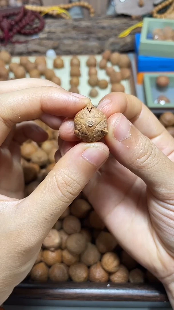 龙眼菩提吊坠恶魔眼三通