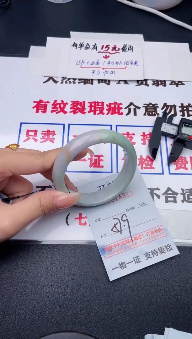 未镶嵌手镯翡翠13