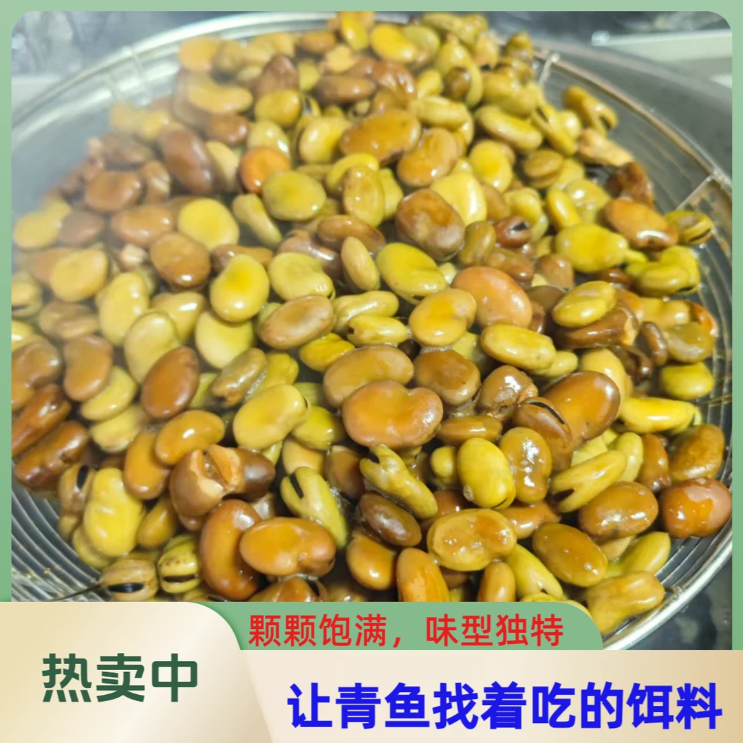 蚕豆窝料青鱼饵料需喂塘养口使用