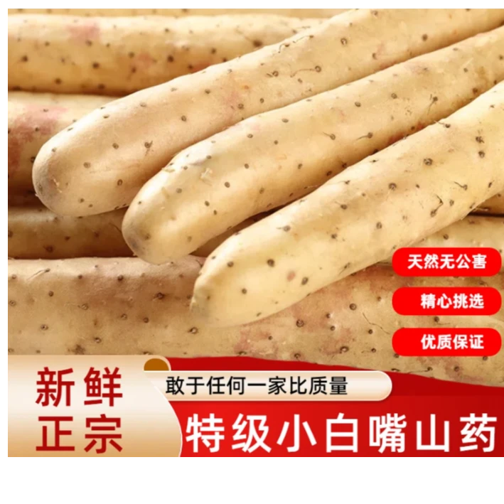 【头茬】河北小白嘴山药4.5斤装软糯香甜河北特产原产地发货