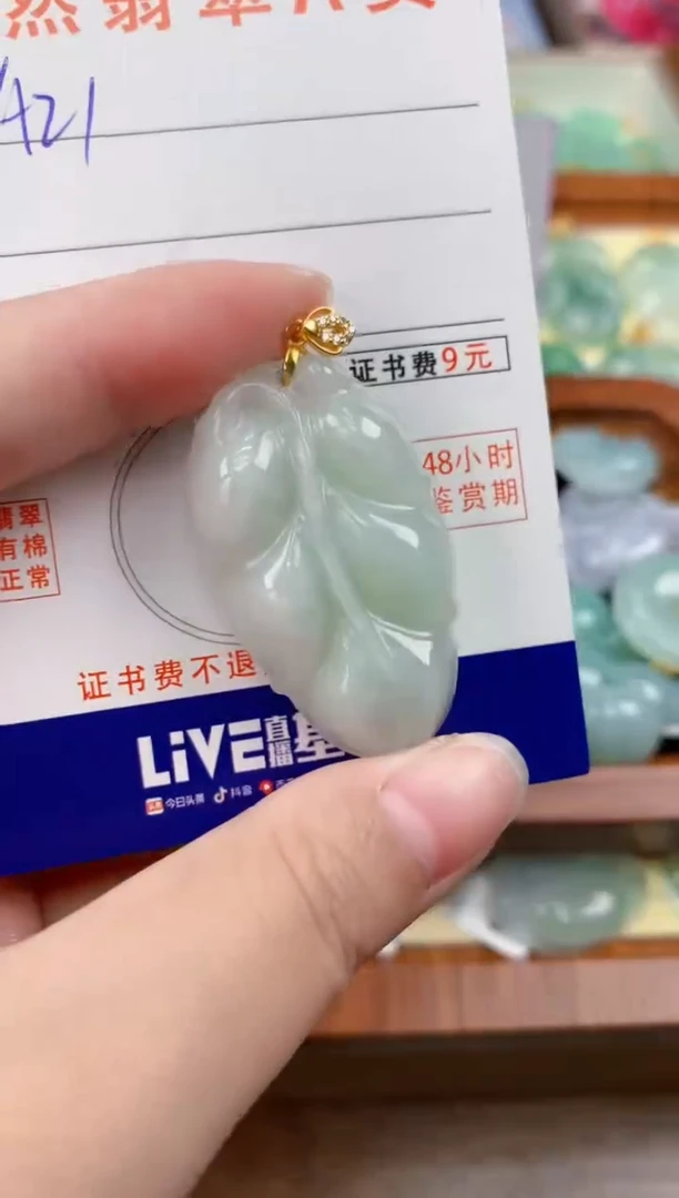 颈饰未镶嵌翡翠天然A货翡翠挂件