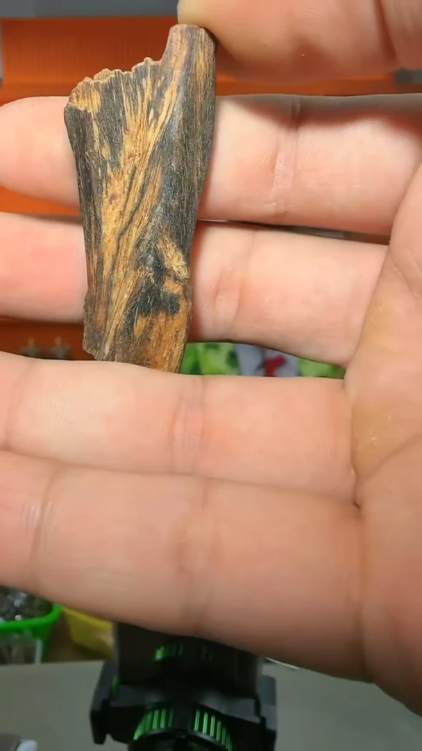 沉香吊坠261号多样性发一