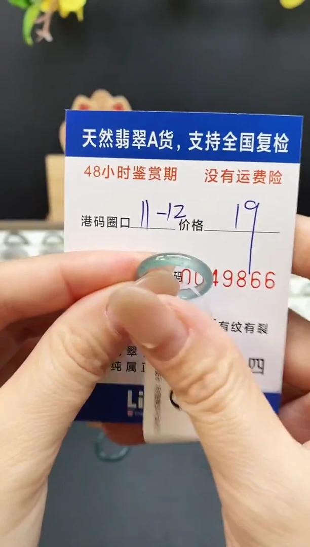 未镶嵌戒指翡翠9866