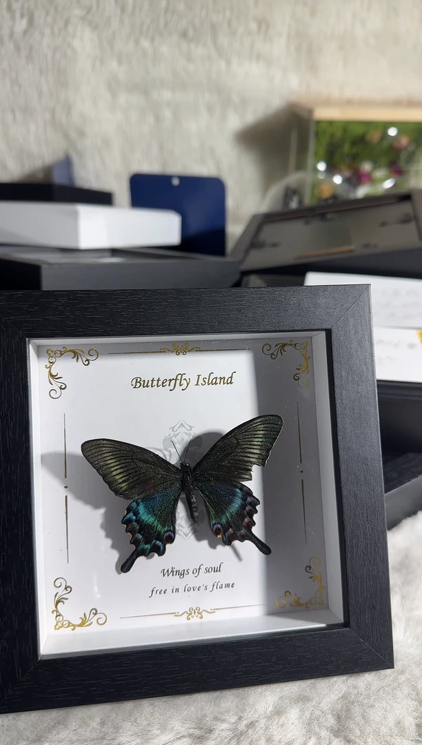 有机玻璃小绿带微瑕5寸