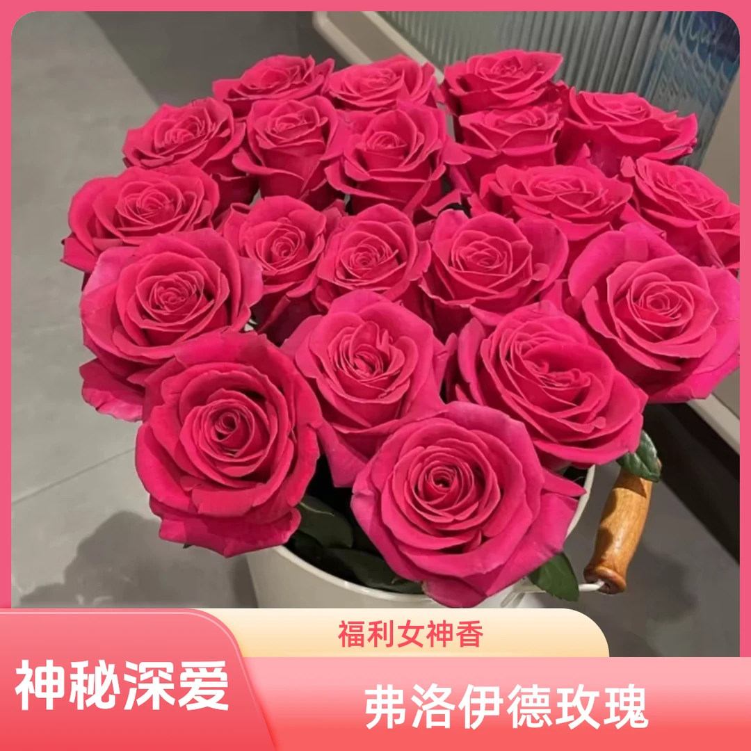 【弗洛伊德】花卉直发喷泉鲜花花束批发云南省直发鲜花