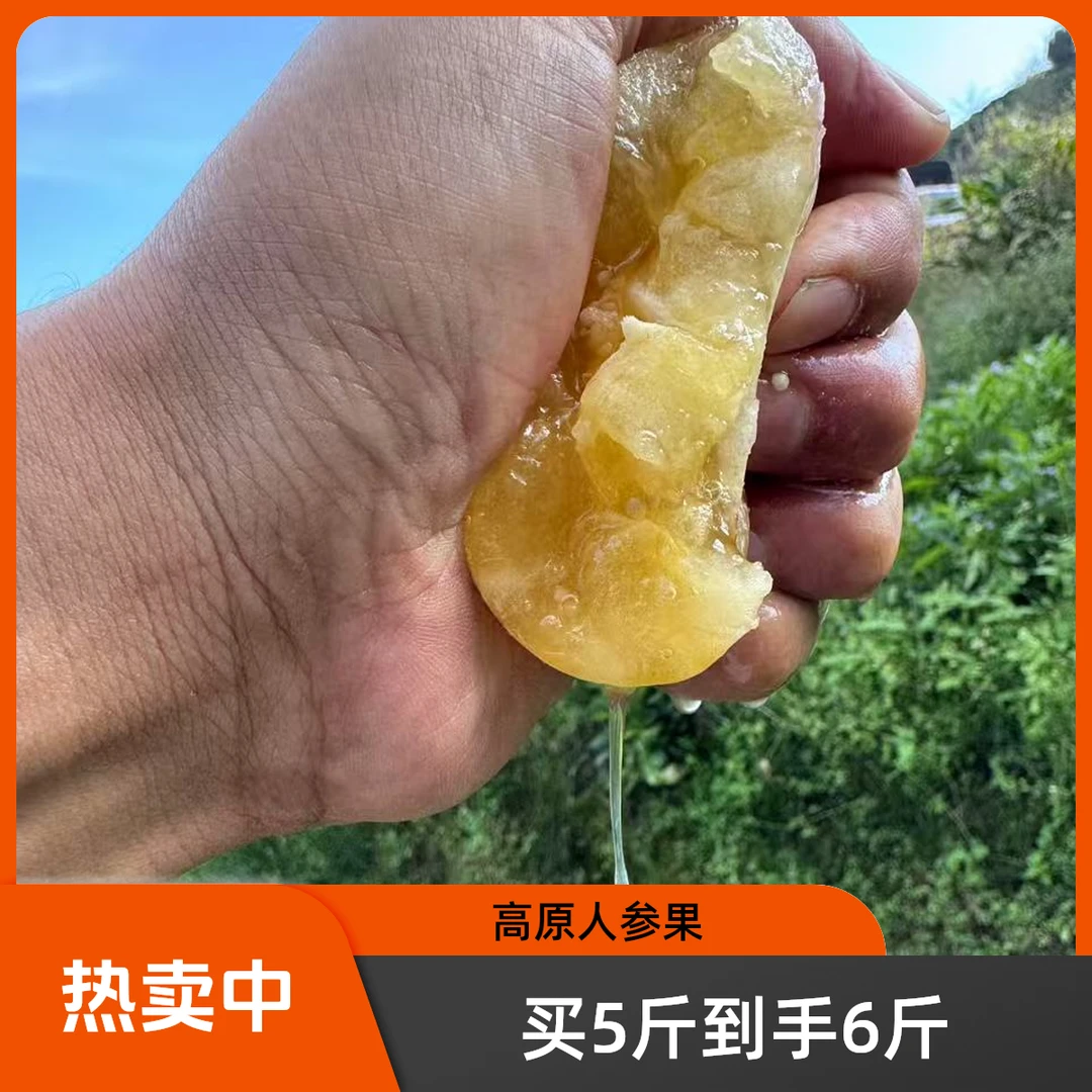 （中圆果）【鲜食.真树上熟】高原梯田人参果.拒绝生果！