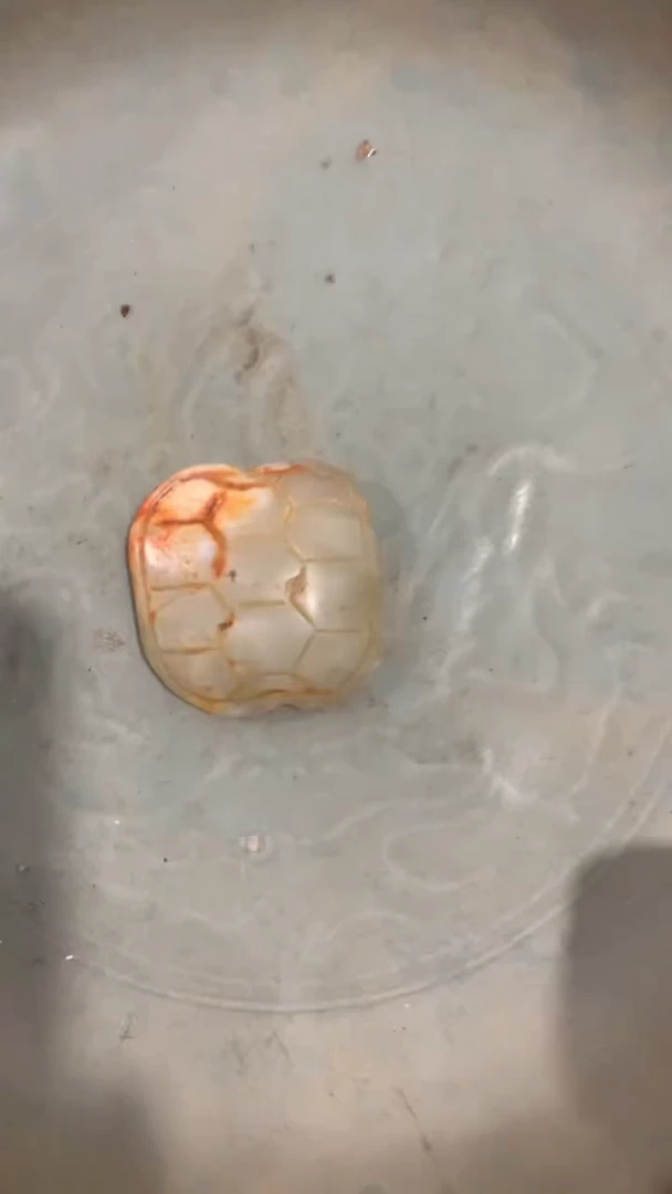瓷片当代陶瓷工艺品 26