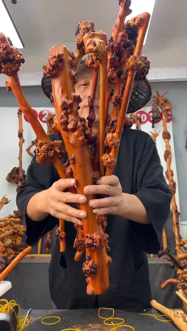 黑果木其他黑果木709