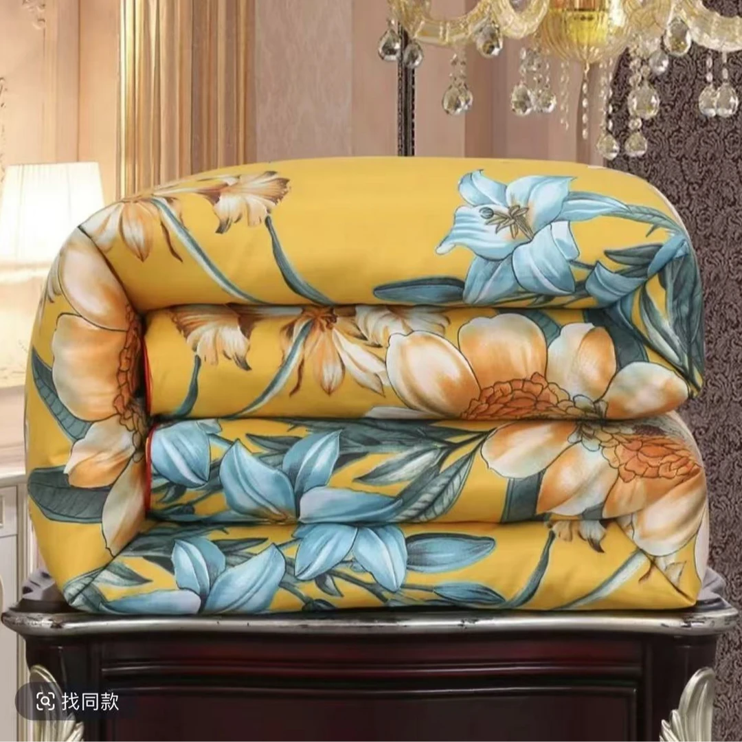 【范范专属】加厚单人秋冬被