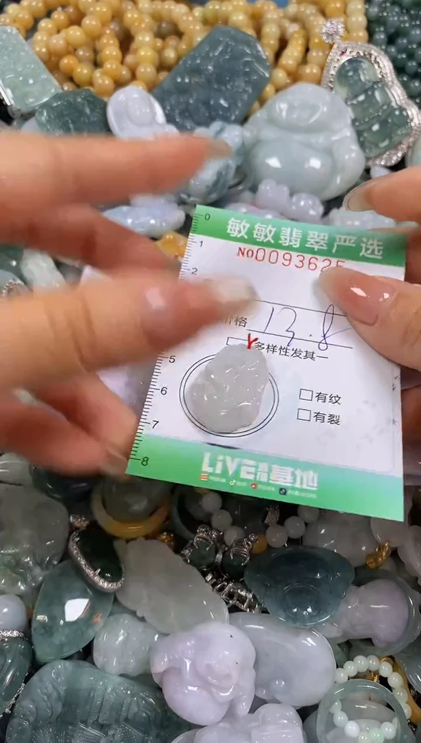 【闪购商品】翡翠颈饰未镶嵌闪购0093625