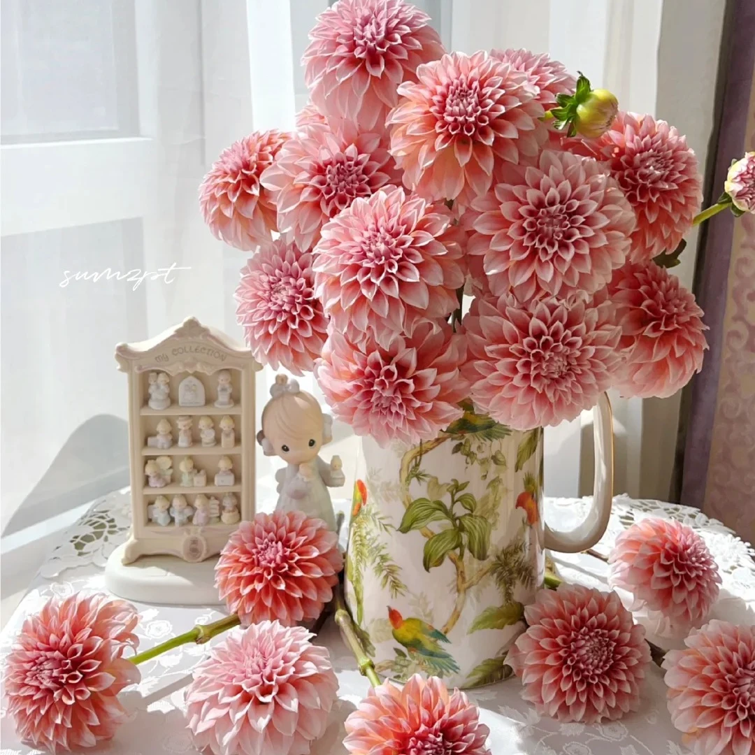 【探花甄选】奶油桃子 高级草花 任意两单鲜花顺丰包邮