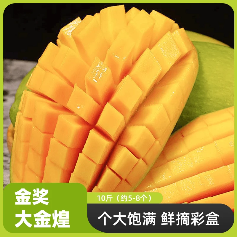[信河村]金奖大金煌10斤个大饱满鲜摘彩盒装