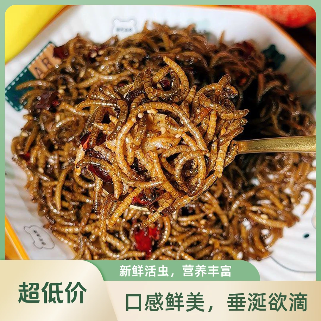 香酥油炸面包虫五香麻辣炸虫子高蛋白昆虫美食营养丰富现做现发