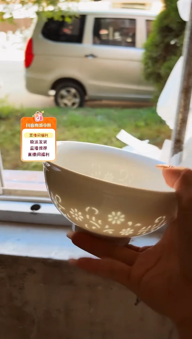 陶瓷景德镇陶瓷一级品蒲公英青色面碗X2