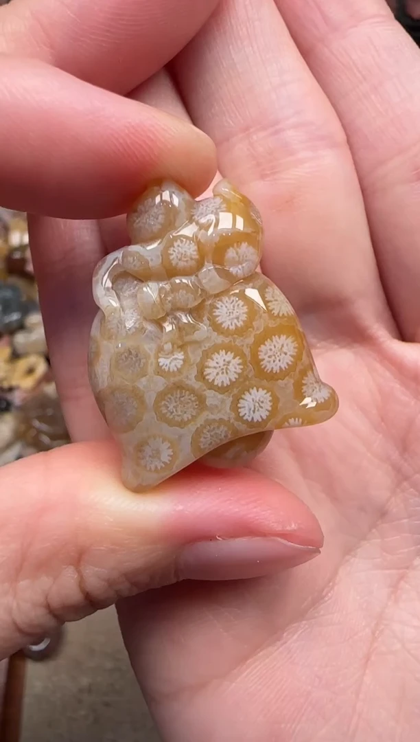 颈饰未镶嵌硅化珊瑚（珊瑚玉）859