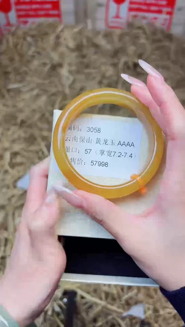 未镶嵌手镯石英质玉3058--圈口57