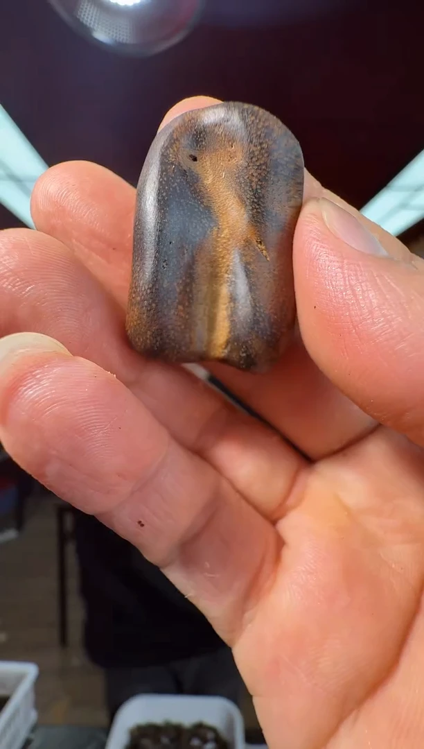 沉香吊坠e142越南多样性发一