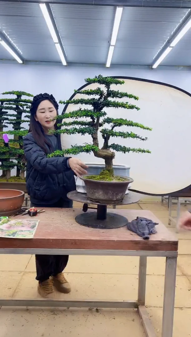 无花朵一物一拍，所见即所得