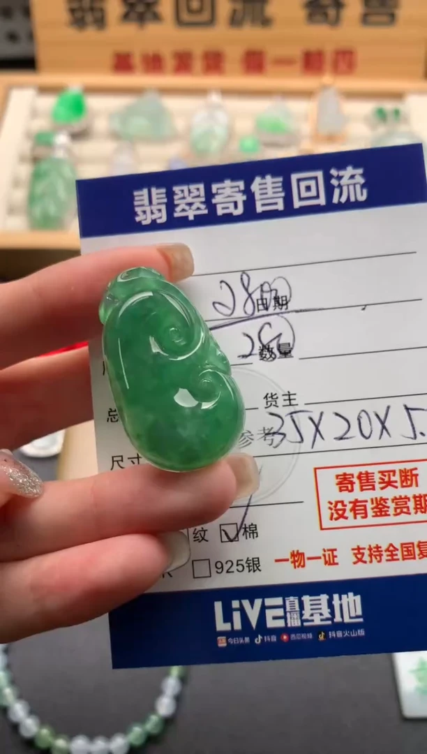 颈饰未镶嵌翡翠10145943