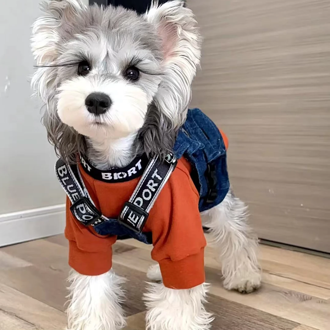 【金金家的雪纳瑞】活体保障链接