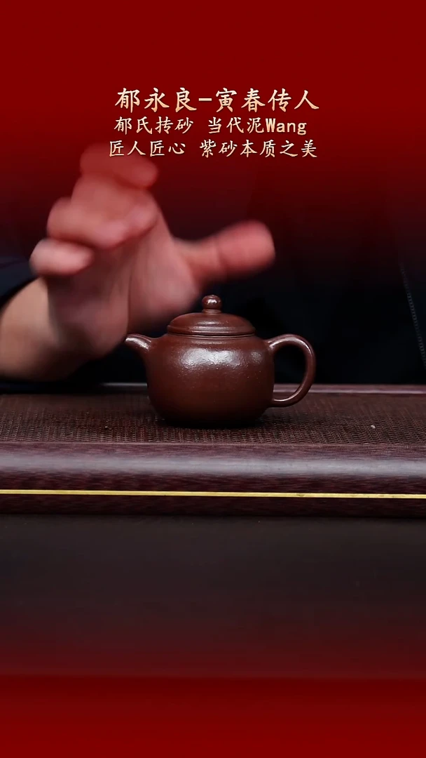 陶藏紫砂甄选-紫砂壶12
