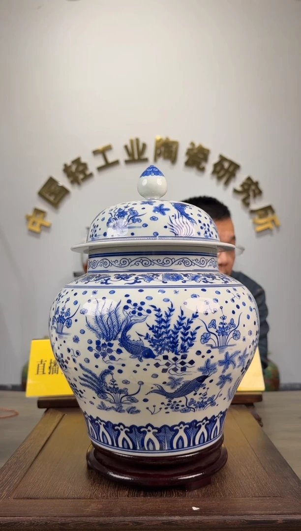 景德镇精美陶瓷鱼将军罐