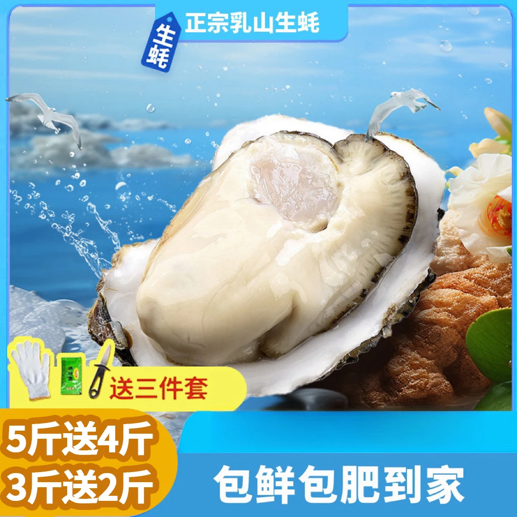 【巨无霸蚝】②正宗乳山生蚝5斤送4斤海鲜水产海蛎子新鲜牡蛎非免洗