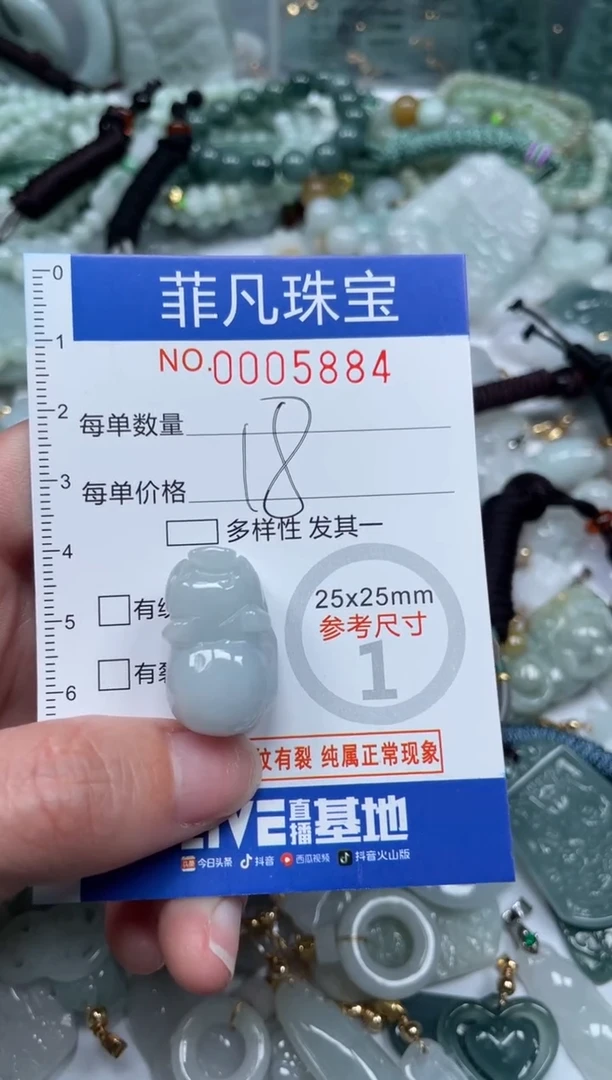 【闪购商品】翡翠颈饰未镶嵌00..5884