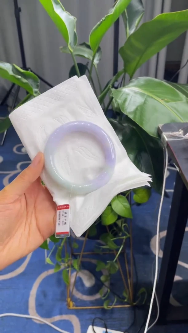 未镶嵌手镯翡翠4992