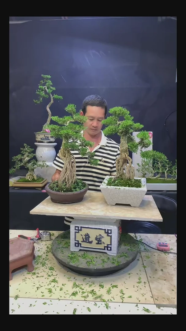 完全开放粤**旺1111111