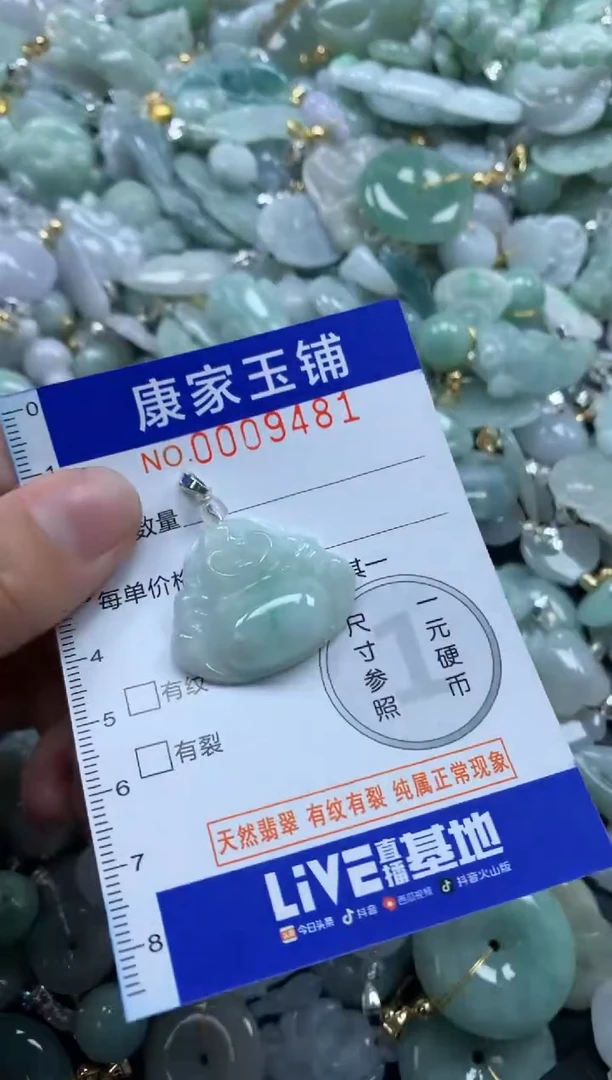 颈饰未镶嵌翡翠9481