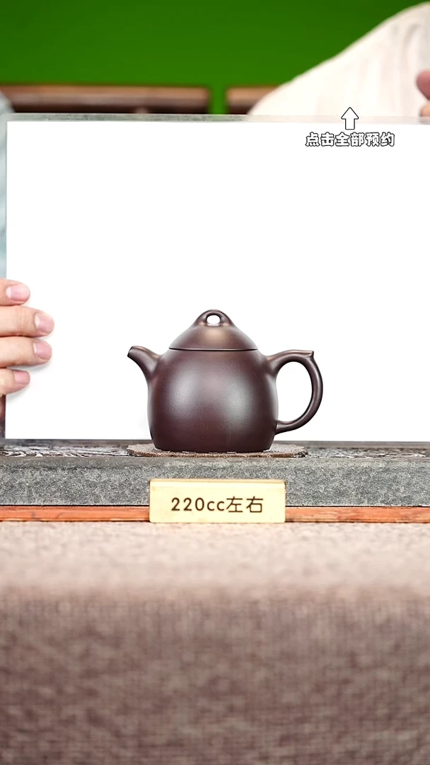 宜兴紫砂茶壶茶壶15