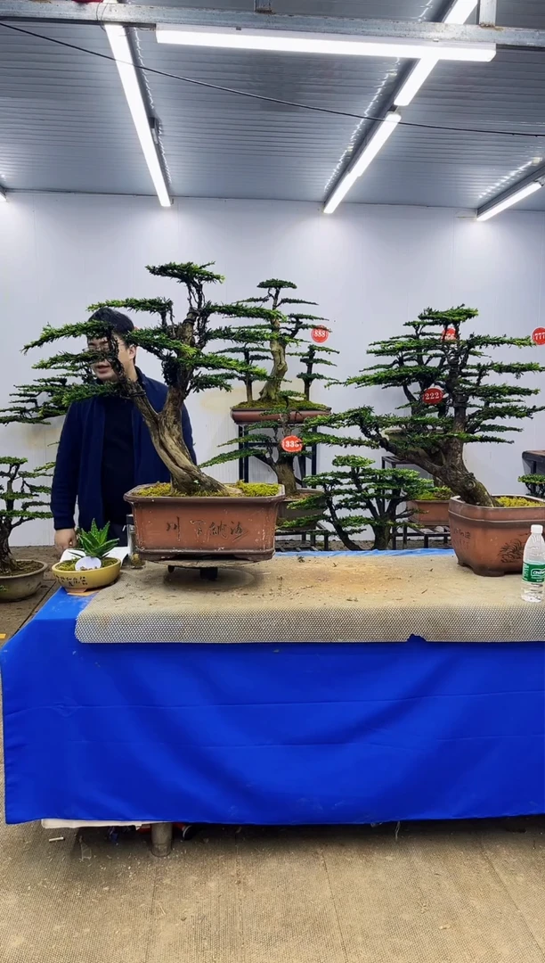 完全开放一物一拍，所见即所得