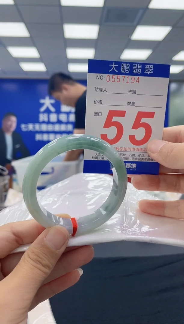 未镶嵌手镯翡翠AAAAAAAAAA