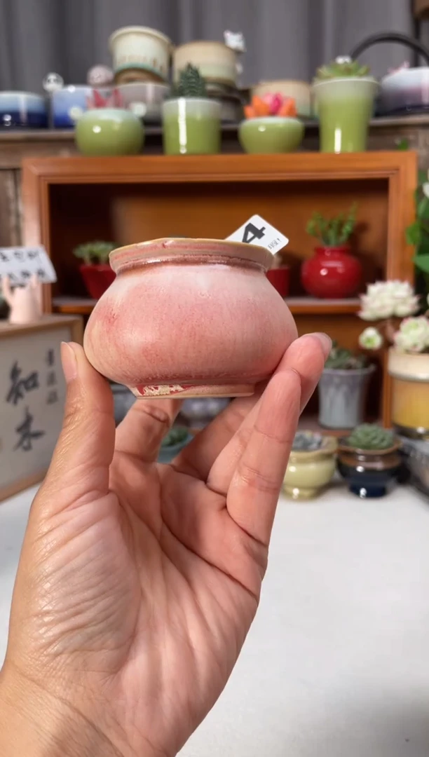 瓷片354知木小芳花盆编号