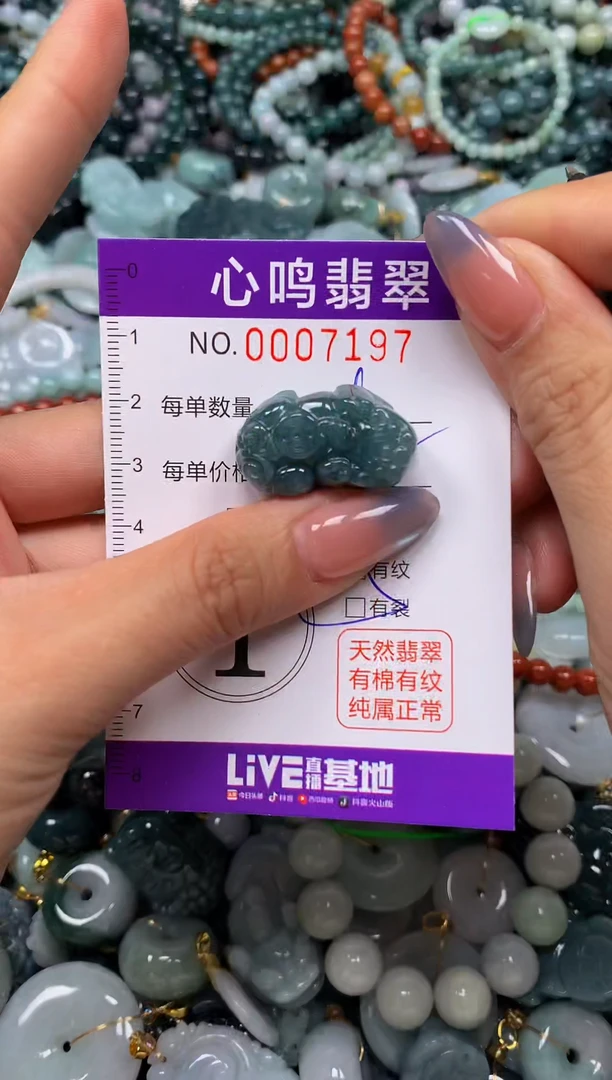 颈饰未镶嵌翡翠闪购007197