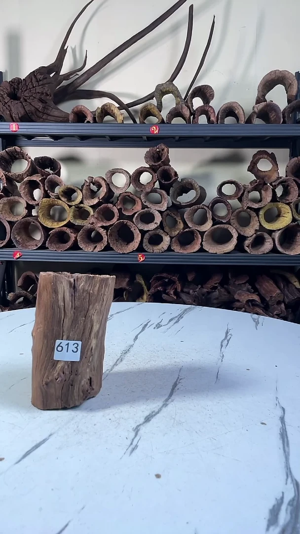 云南紫柚木造景沉木613