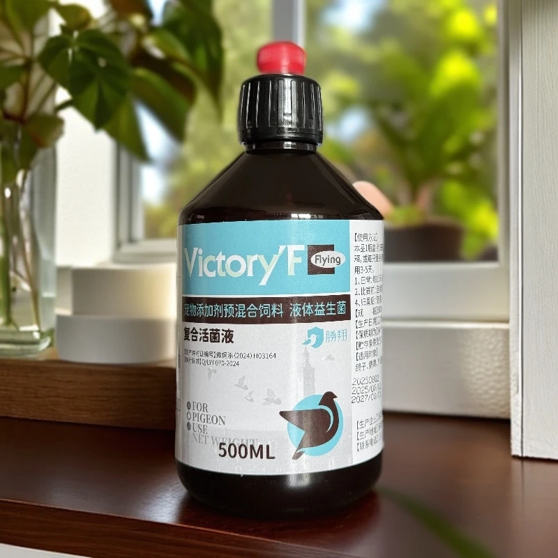 塔老师推荐鸽子保健复合活菌