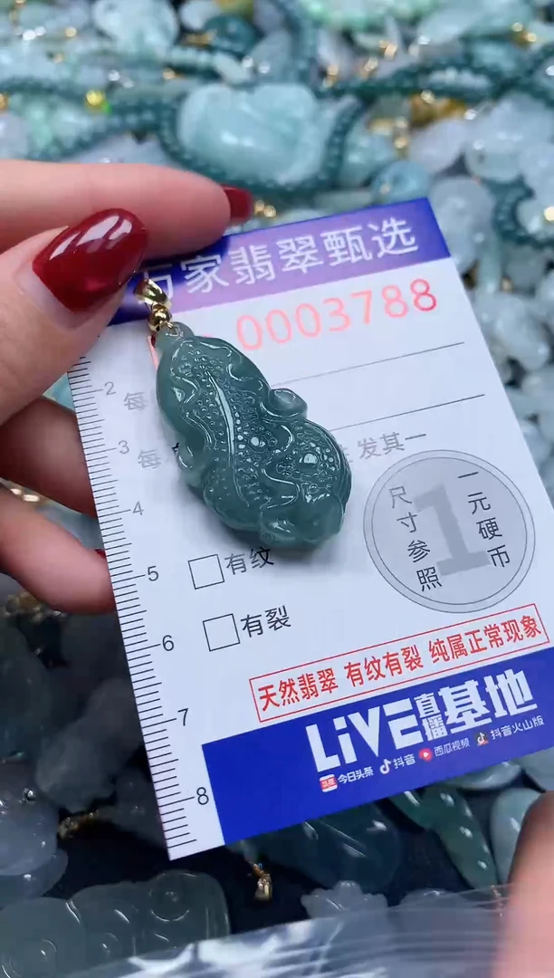 颈饰未镶嵌翡翠3788