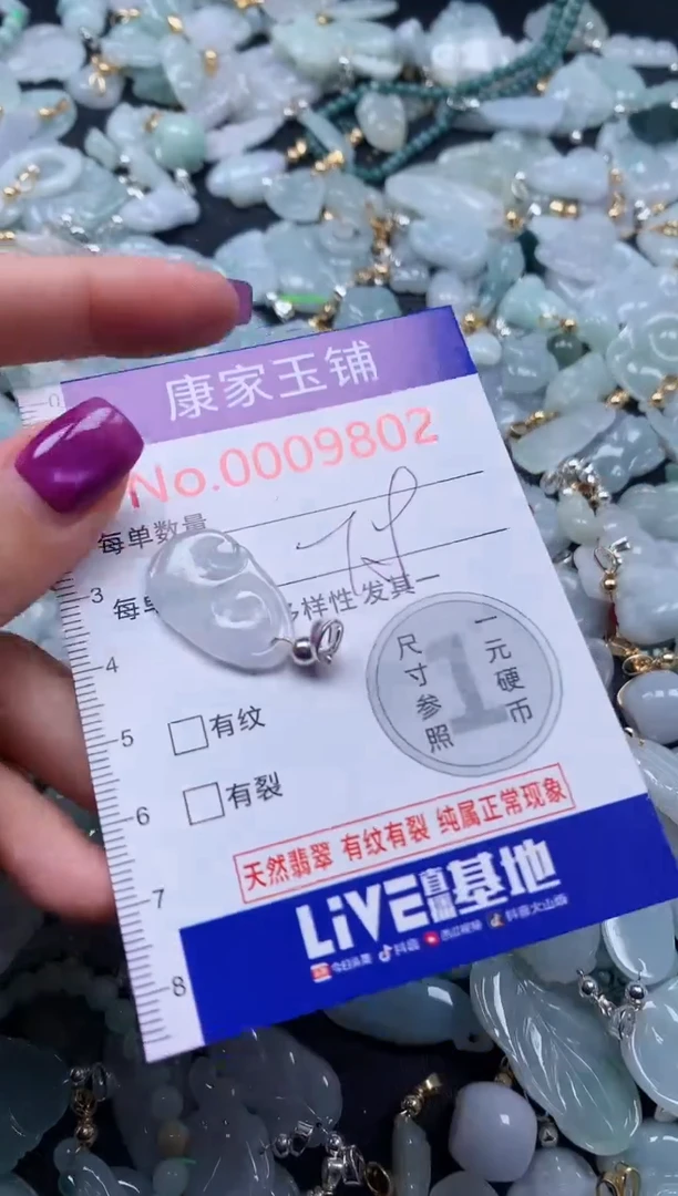 颈饰未镶嵌翡翠9802
