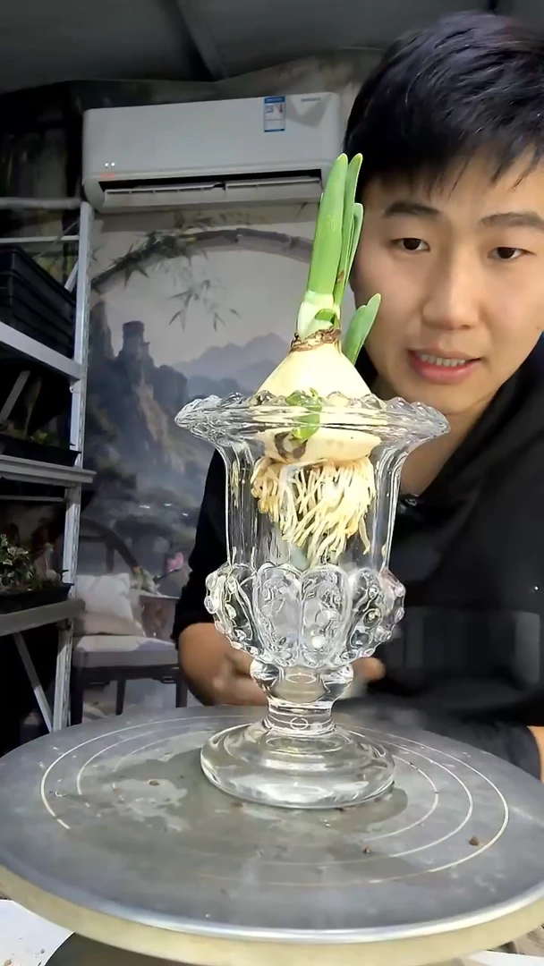 a****1中青园艺一物一拍花151