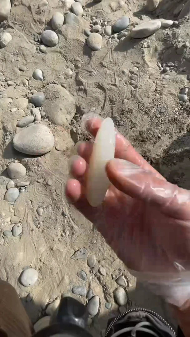 颈饰未镶嵌和田玉（糖玉）001