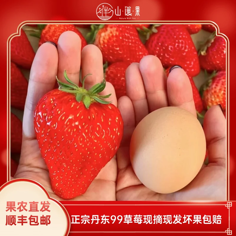 顺丰空运果农直发丹东99草莓大果果王新鲜采摘坏果包赔孕妇可食