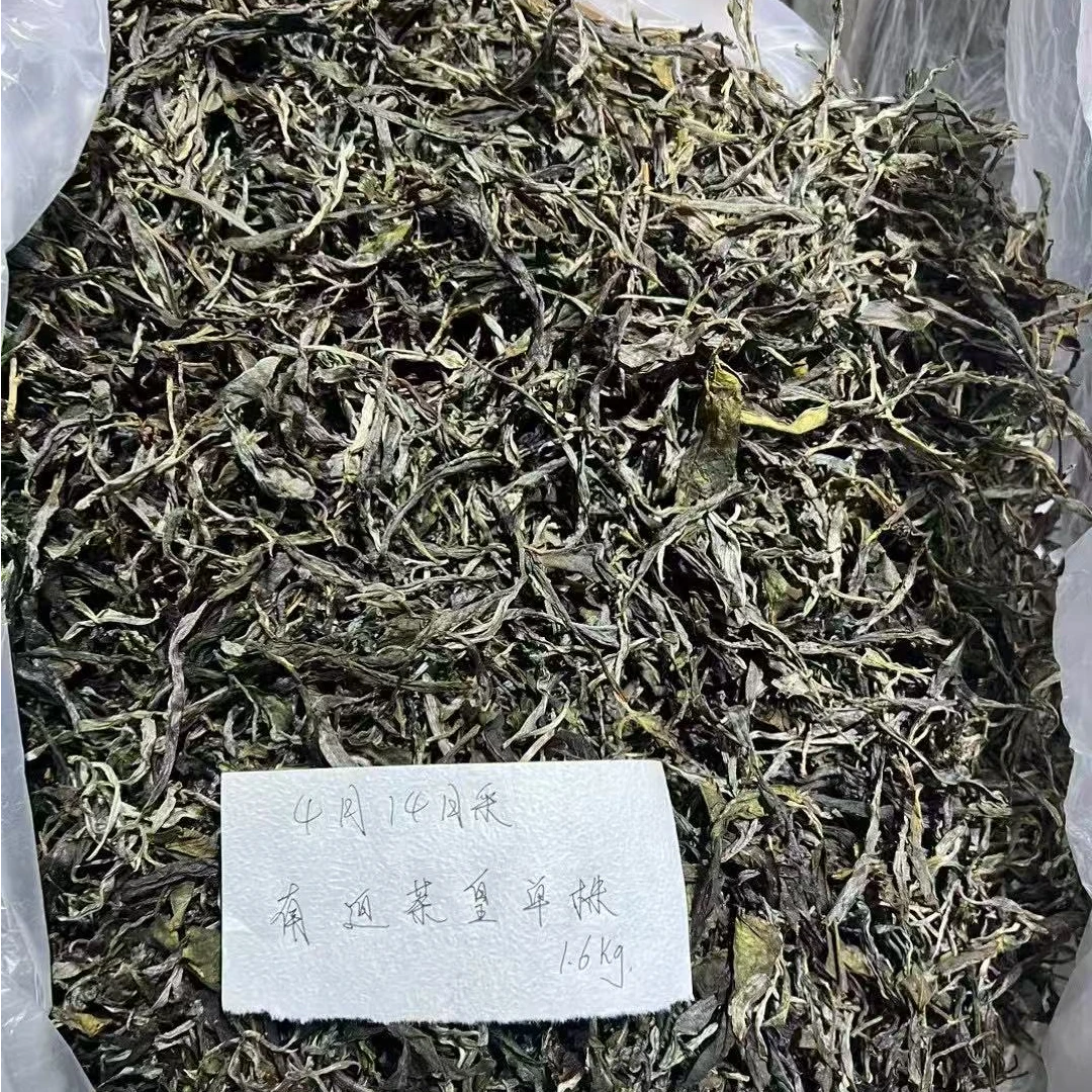2024年冰岛南迫茶皇头春古树单株野韵花香余500g
