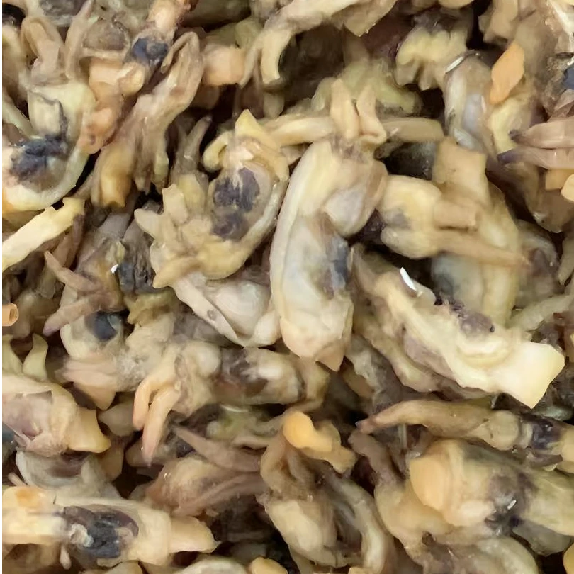 福建特产无沙海蛏干新鲜海鲜干货蛏子干美味食材