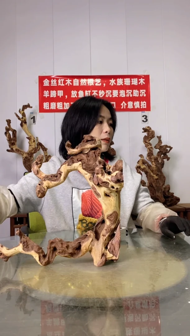 【闪购商品】木28金丝红木 羊蹄甲