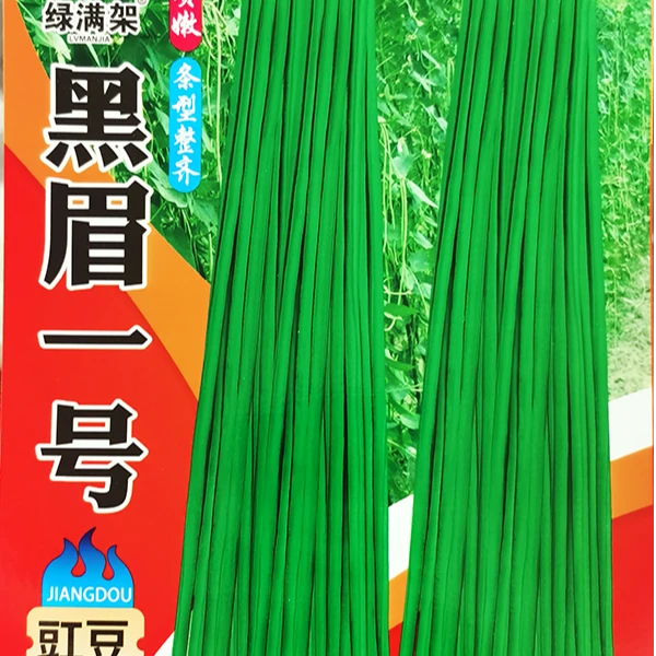 黑眉1号豇豆种子蔬菜种子抗病高产种子蔬菜籽种特长豆角种子包邮