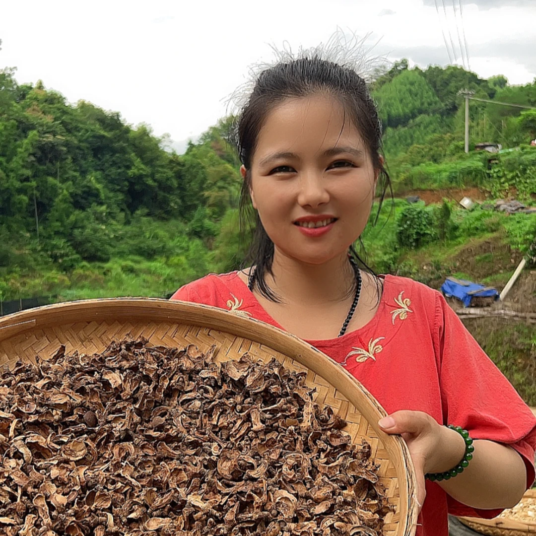 广西大山农家茶籽芯泡茶煮水