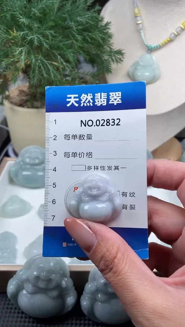 颈饰未镶嵌翡翠纯天然A货缅翡2832